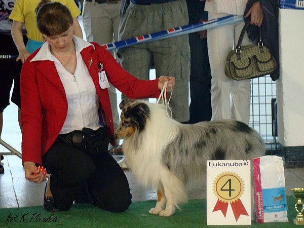 Merlin - CACIB MIÑSK 2010 - BOG4