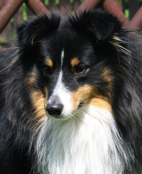 monty 12 mths