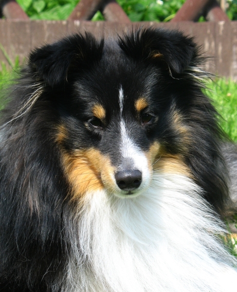monty 12 mths